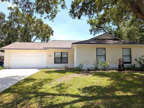 4139 Yellowwood Dr, Valrico, FL 33594