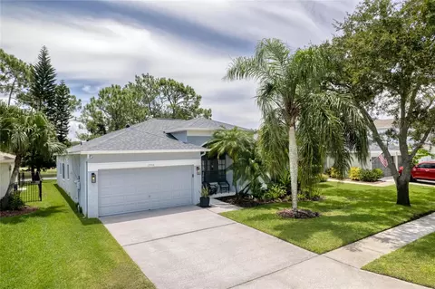 12906 Royal George Ave, Odessa, FL 33556