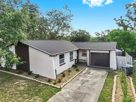 10713 N Ojus Dr, Tampa, FL 33617
