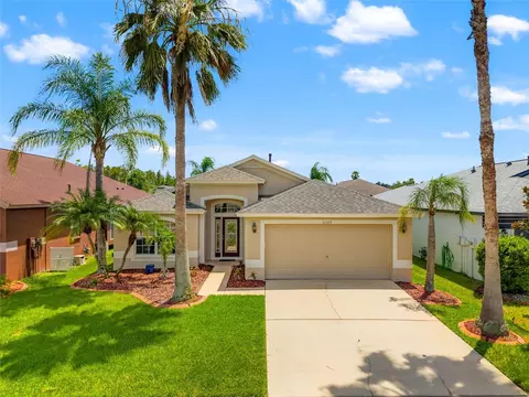 31528 Wrencrest Dr, Wesley Chapel, FL 33543