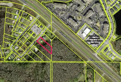 14969 Ogden Loop, Odessa, FL 33556