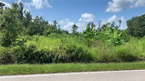 0 Sink Hole Rd, Bartow, FL 33830