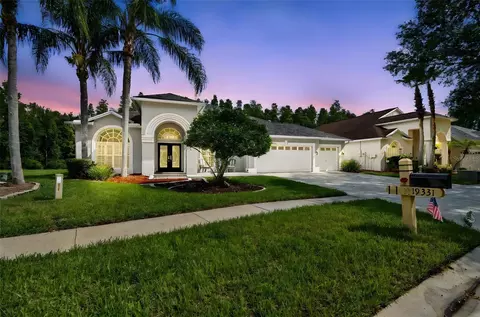 19331 Wind Dancer St, Lutz, FL 33558 photo 1