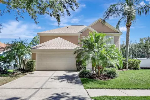 9422 Oak Meadow Ct, Tampa, FL 33647