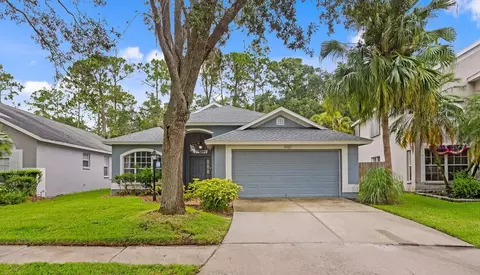 10420 Springrose, Tampa, FL 33626
