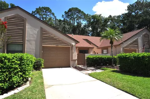 4043 Mermoor Ct, Palm Harbor, FL 34685