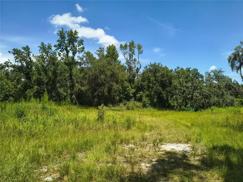Willie White Lane, Plant City, FL 33567 | MLS# TB8408638 | 15 Photos ...