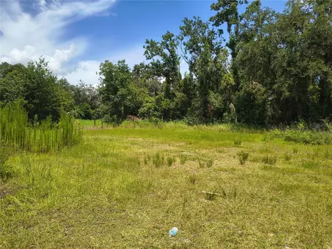 Willie White Lane, Plant City, FL 33567