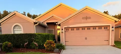 2634 Rosehaven Dr, Wesley Chapel, FL 33544