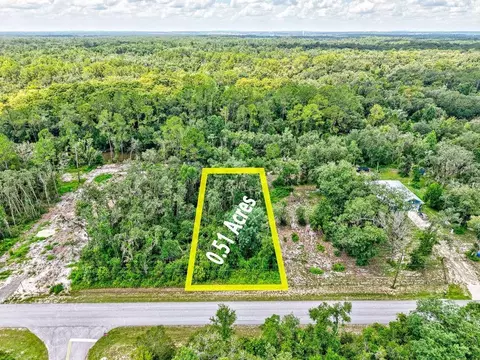 N Canal Street, Webster, FL 33597