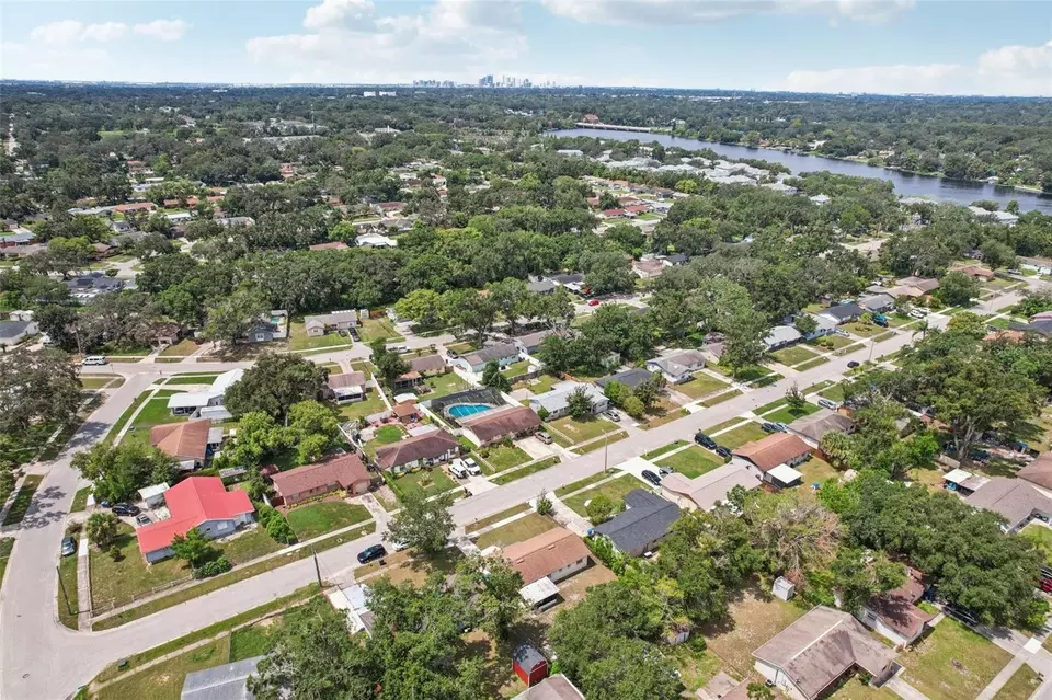 View/Area - 4428 Tuna Dr, Tampa, FL 33617 photo 3 of 4