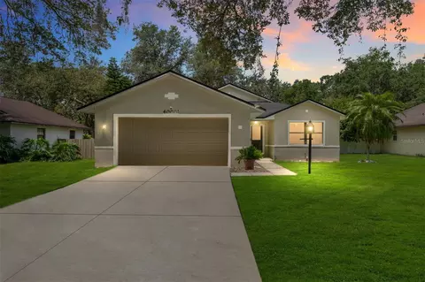 40001 Parkinsonia St, Lady Lake, FL 32159