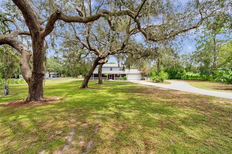 11324 Black Walnut St, Hudson, FL 34669
