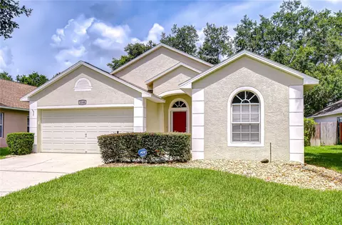 3146 Beaver Pond Trl, Valrico, FL 33596