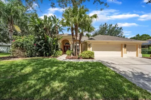 5803 Tanagerside Rd, Lithia, FL 33547