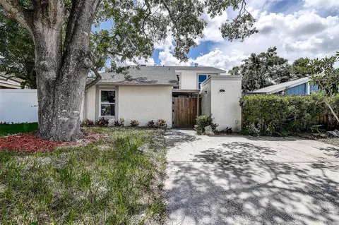 10303 Pennytree Pl, Tampa, FL 33624