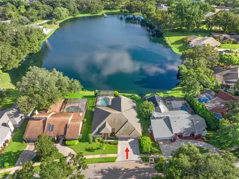 2915 Valencia Ln E, Palm Harbor, FL 34684