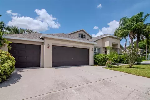 1927 Alecost Ct, Trinity, FL 34655