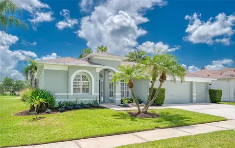 15619 Shoal Creek Pl, Odessa, FL 33556