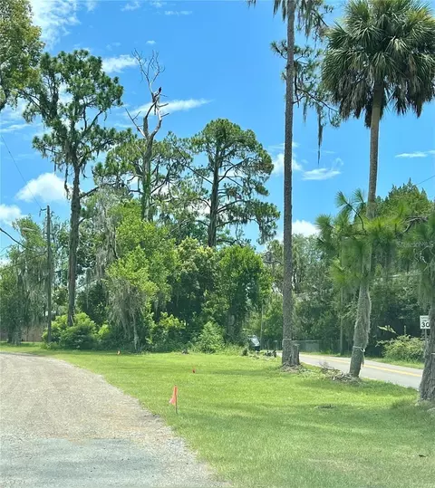 21750 Pineywood Loop, Land O Lakes, FL 34639