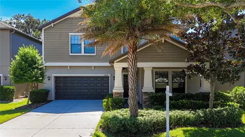 14240 Blue Dasher Dr, Riverview, FL 33569 photo 1