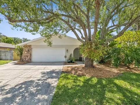1864 Brae Moor Dr, Dunedin, FL 34698