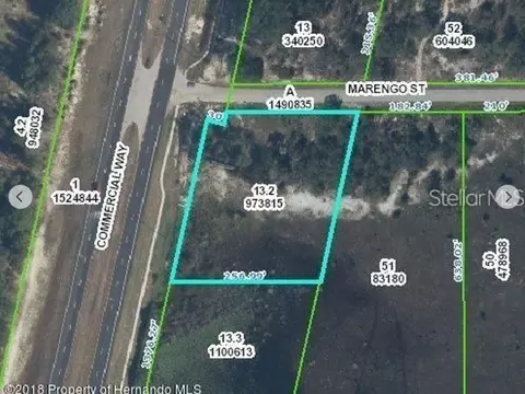 9468 Marengo St, Weeki Wachee, FL 34613