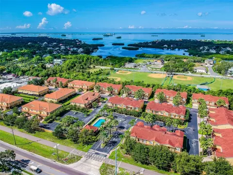 933 Moscato Pl, Palm Harbor, FL 34683