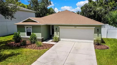 4333 Fieldview Cir, Wesley Chapel, FL 33545