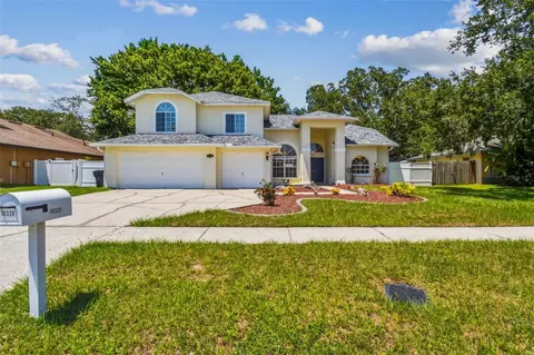 10320 Ashley Oaks Dr, Riverview, FL 33578