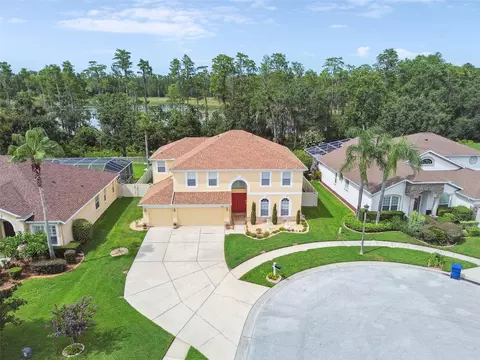 21511 Wilderness Lake Blvd, Land O Lakes, FL 34637