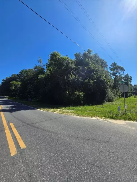 600 Dawn Ave, Interlachen, FL 32148 photo 2