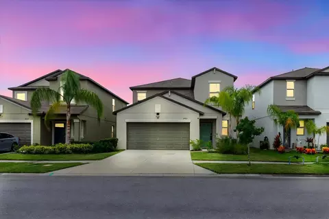 3709 Daisy Bloom Pl, Tampa, FL 33619
