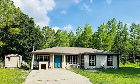 26432 Bluestripe Dr, Wesley Chapel, FL 33544