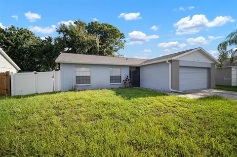 12825 Tallowood Dr, Riverview, FL 33579 photo 1