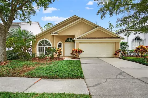 17728 Long Ridge Rd, Tampa, FL 33647