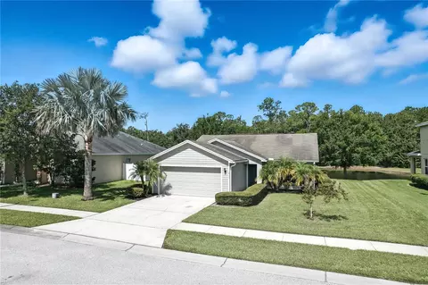 6133 Evansbrook Dr, Zephyrhills, FL 33541