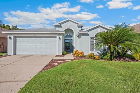 31052 Wrencrest Dr, Wesley Chapel, FL 33543
