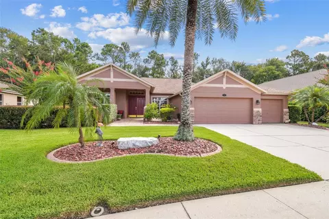 16108 Ivy Lake Dr, Odessa, FL 33556