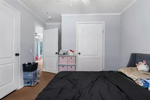 17155 Dalberg Dr, Spring Hill, FL 34610 photo 14