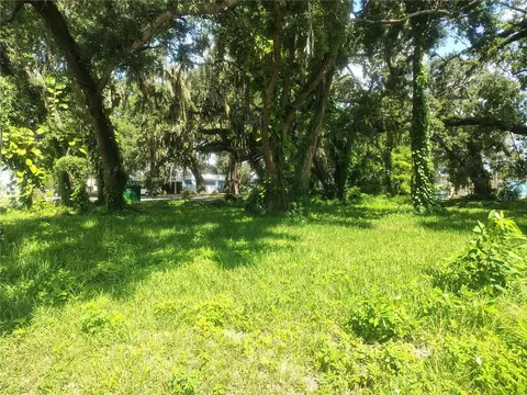 113 E Robertson St, Brandon, FL 33511 photo 5