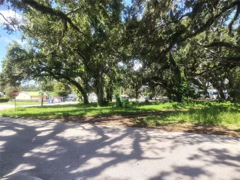 113 E Robertson St, Brandon, FL 33511 photo 3