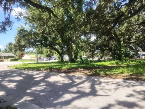 113 E Robertson St, Brandon, FL 33511 photo 4