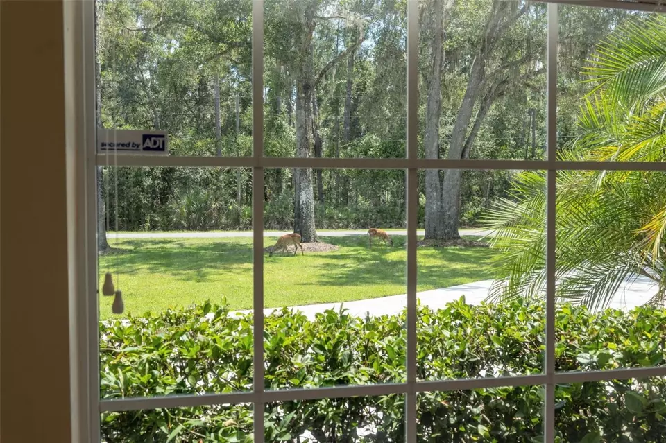 Other - 27641 Lincoln Pl, Wesley Chapel, FL 33544 photo 10 of 10