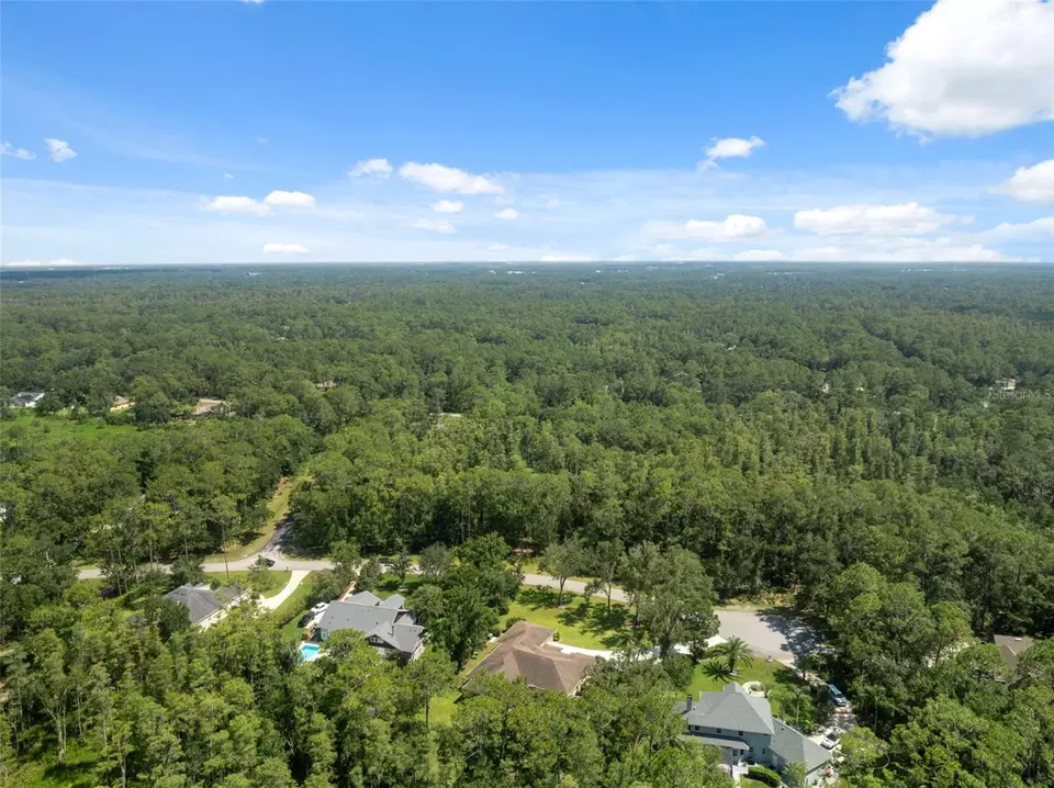 View/Area - 27641 Lincoln Pl, Wesley Chapel, FL 33544 photo 10 of 12