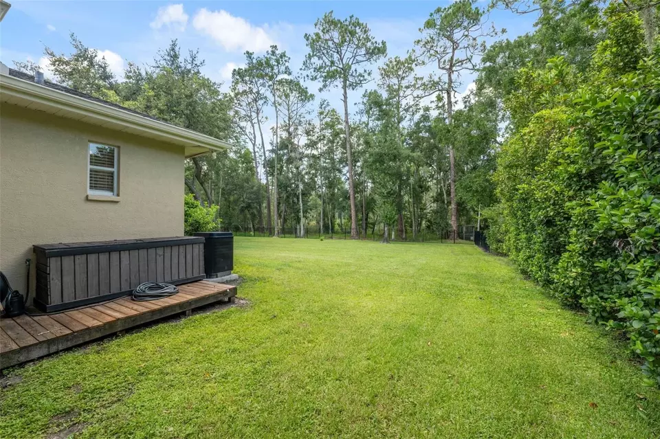 Exterior - 27641 Lincoln Pl, Wesley Chapel, FL 33544 photo 17 of 25