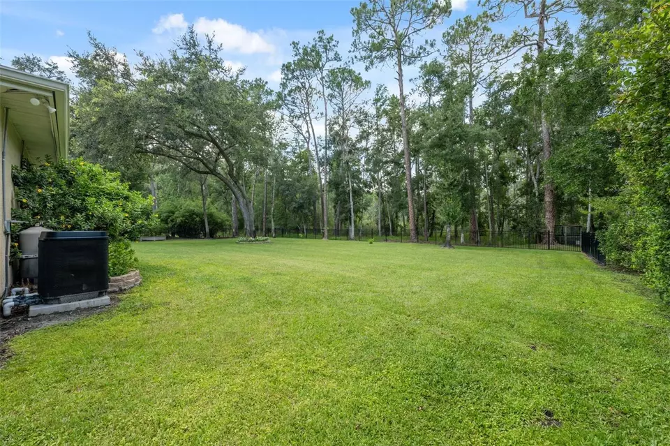 Exterior - 27641 Lincoln Pl, Wesley Chapel, FL 33544 photo 18 of 25