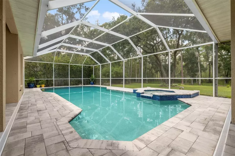Exterior - 27641 Lincoln Pl, Wesley Chapel, FL 33544 photo 8 of 25