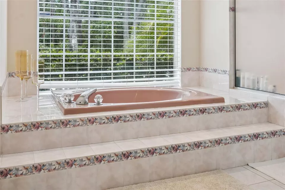Bath - 27641 Lincoln Pl, Wesley Chapel, FL 33544 photo 4 of 7