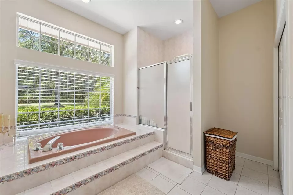 Bath - 27641 Lincoln Pl, Wesley Chapel, FL 33544 photo 2 of 7
